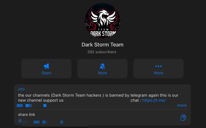 Dark Storm Team